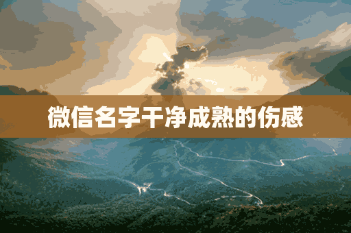 微信名字干净成熟的伤感(微信名字伤感2021)